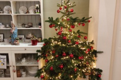 1_IMG_20201223_205110