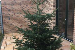 IMG-20161210-WA0000-e1481621178169