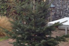 IMG-20161210-WA0001-e1481621188851