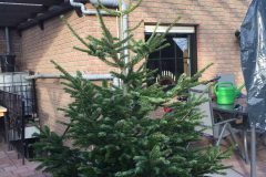 IMG-20161210-WA0002-e1481621200163