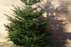 IMG-20161210-WA0004-e1481621220236