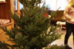 IMG-20161210-WA0007-e1481621246764