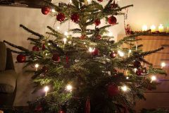 IMG-20161211-WA0013-e1481621256461