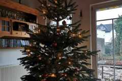 IMG-20201224-WA0004
