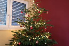 IMG_20171223_130231634_LL-e1541516043137